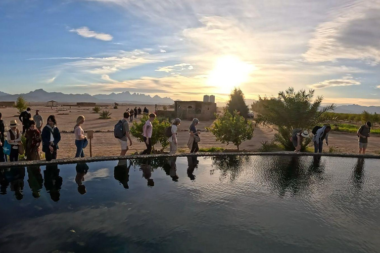 Hurghada: Jeep Safari, piantumazione di alberi e pranzo "dalla fattoria alla tavola"Hurghada: safari in jeep, piantumazione di alberi e pranzo "dalla fattoria alla tavola"
