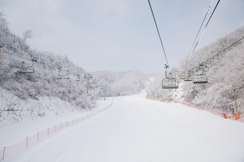 Seoul: Elysian Ski Resort & Eobi Ice Valley Depart from Hongik Univ. Station Exit 4