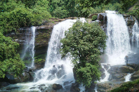 Kochi: Höhlen, Wasserfälle und Aussichtspunkt – TagestourTagestour in der Natur von Kochi: Höhlen, Wasserfälle und Aussichtspunkt