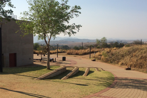 De Jo'burg: parc aux lions et berceau de l'humanité avec déjeuner