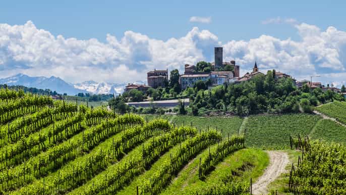 de milão barolo wine tour degustação