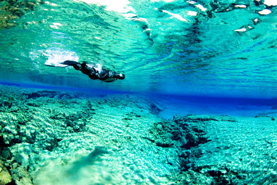 Reykjavik Combo Snorkel In Silfra Fissure Lava Caving Getyourguide