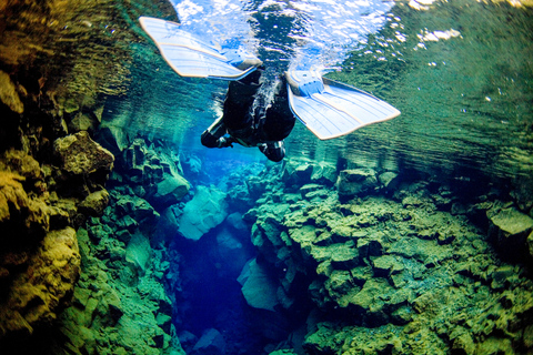 De Reykjavik : snorkeling à Silfrugjá et spéléologie