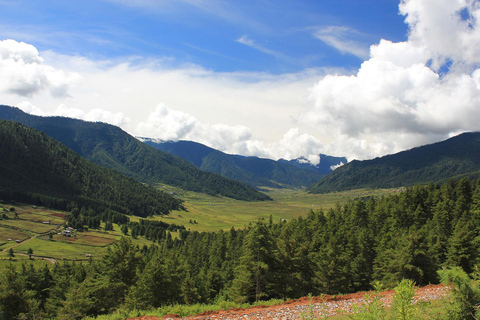 Bhutan: 6-Day Nature and Culture Tour with Phobjikha Valley
