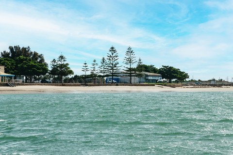 Adelaide: Port River Delphin und Schiffsfriedhof Kreuzfahrt