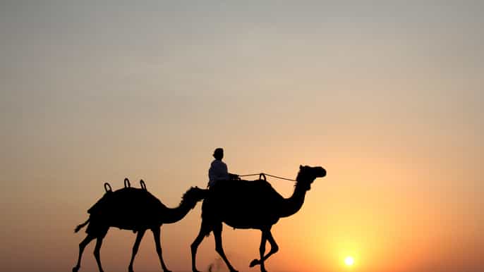 dubai desert safari with camel ride