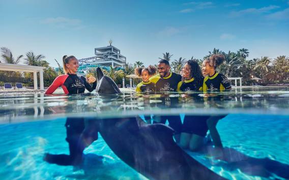 Atlantis Dubai: Begegnung mit Delfinen im Flachwasser