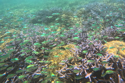 Lombok Private Snorkeling: Hidden Southwest 5 Gili Islands Lombok: Private Snorkeling Gili Asahan (5 Gilis) + Lunch