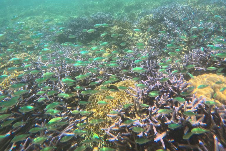 Lombok Private Snorkeling: Hidden Southwest 5 Gili Islands Lombok: Private Snorkeling Gili Asahan (5 Gilis) + Lunch