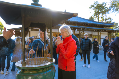 Best of Kyoto: the Bamboo Forest & Golden Temple E-Bike Tour