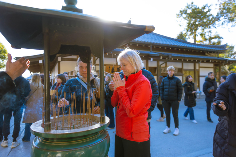 Best of Kyoto: the Bamboo Forest & Golden Temple E-Bike Tour