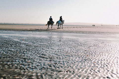 Djerba – Paardrijden naar het eiland van de flamingo&#039;sDjerba - Paardrijden naar het Roze Flamingo-eiland