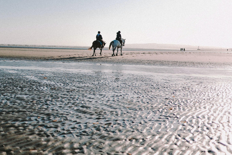 Djerba – Paardrijden naar het eiland van de flamingo&#039;sDjerba - Paardrijden naar het Roze Flamingo-eiland