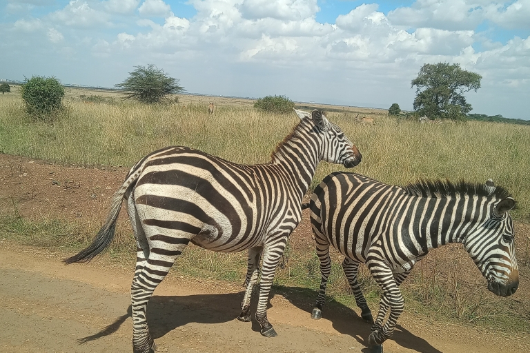 Amboseli: 3-dniowe safari na kempingu