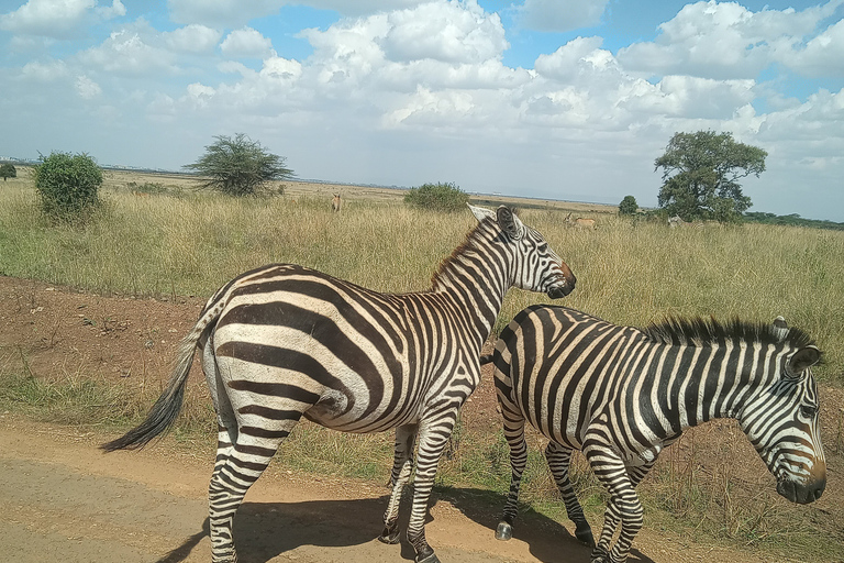 Amboseli: 3-dniowe safari na kempingu