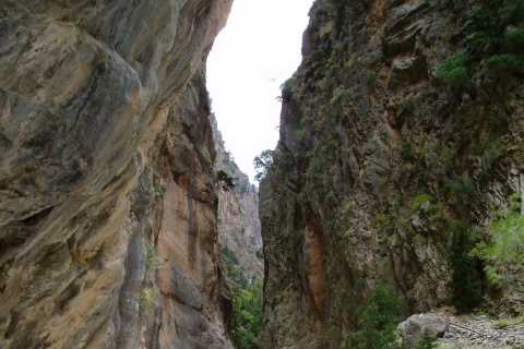 The Samariá Gorge Hike from Chania or Rethymno