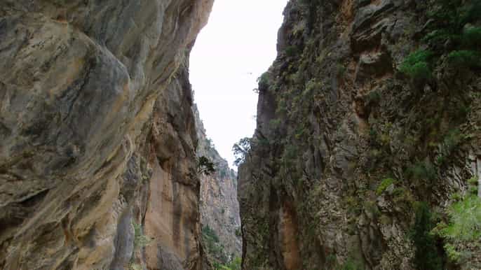 senderismo en la garganta de samariá desde la canea o rétino