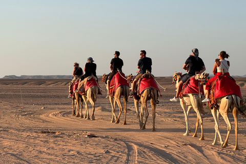 Hurghada: Camel Ride & horse ride and Off-Road Jeep Tour pickup from hotels inside hurghada