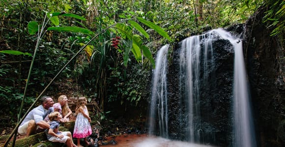 Cairns: Paronella Park Ticket