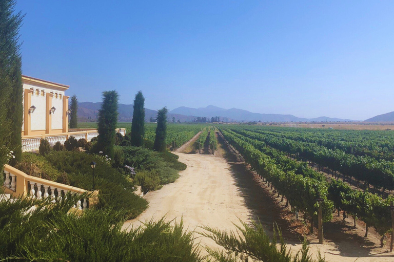 Estancia El Cuadro: Private Wine Tour in Casablanca Valley El Cuadro: Private Wine Tour with History in Casablanca Valley