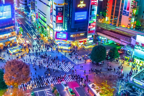 Tokyo Hidden Gems Sumo, Calligraphy & Local Streets Day Tour