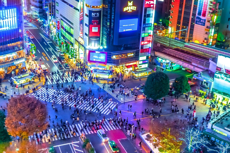 Tokyo Hidden Gems Sumo, Calligraphy & Local Streets Day Tour