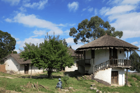 Addis Ababa City Tour with Coffee Ceremonies