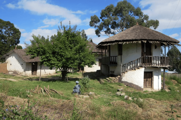 Addis Ababa City Tour with Coffee Ceremonies