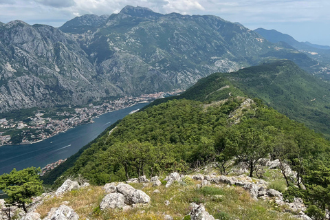 Vanuit Tivat: Vrmac Hill Scenic Hike boven de Boka-baaiVanuit Tivat: mooie wandeling op de Vrmac-heuvel boven de baai van Boka