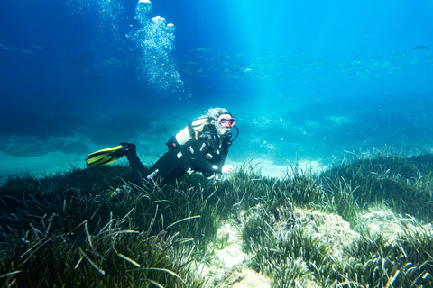 Mallorca, Alcudia: Dip & Dive – Scuba Diving for Beginners & Snorkeling Mallorca: Dip&Dive – Snorkeling & Scuba Diving (No License Required) – Cap de Formentor