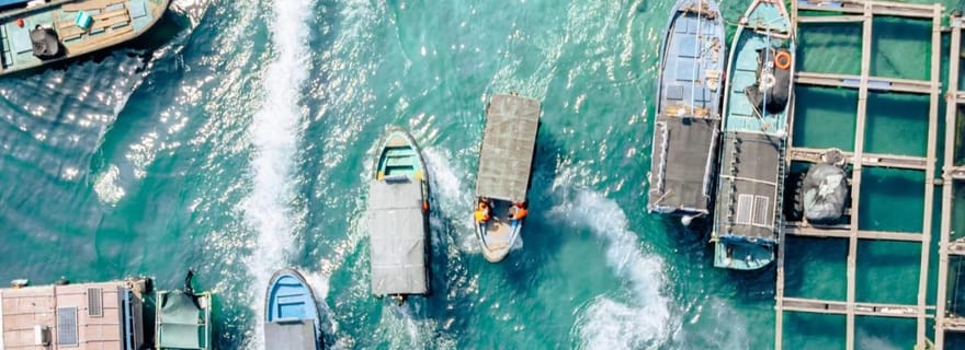 Côte est de Sanya : villages flottants, plages et CDF