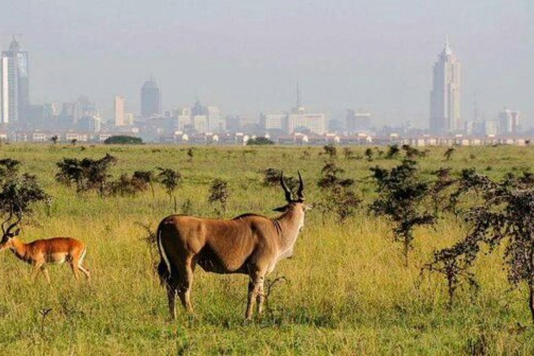 Nairobi: Mount Longonot Volcano Hiking Adventure