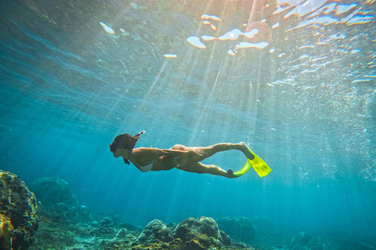 Nusa Penida: Snorkeling Adventure 3-Spots with Manta Rays Nusa Penida: Snorkeling Manta Point 3-Spots with Manta Rays