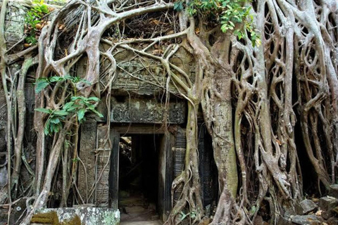 Angkor Wat & Must-See Temples Private Tour by Tuk Tuk Add Sunrise Tour Option
