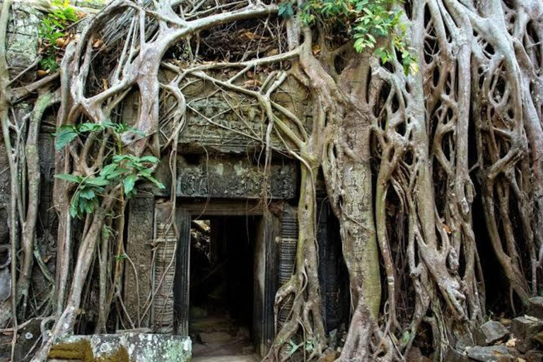 Angkor Wat & Must-See Temples Private Tour by Tuk Tuk Add Sunrise Tour Option