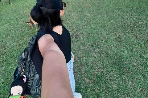 Nara: Guided Walking Tour with Tea Ceremony & Calligraphy