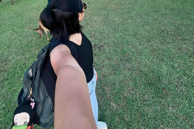 Nara: Guided Walking Tour with Tea Ceremony & Calligraphy