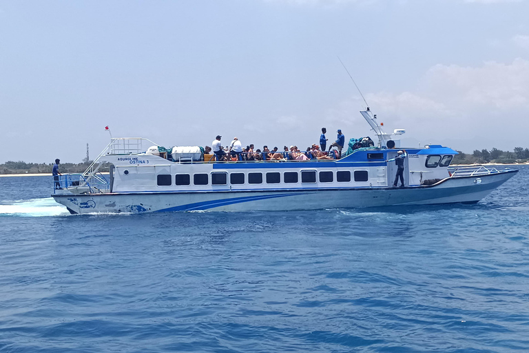 Gili Trawangan: Fast Boat Transfer to Padang Bai with love Padang Bai: Fast Boat Transfer to Gili Trawangan with love