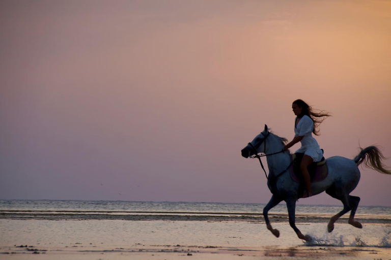 Baía de Makadi: Passeio a cavalo no deserto e no mar com guia + transferênciasBaía de Makadi: Passeio a cavalo no deserto e no mar com guia + transporte