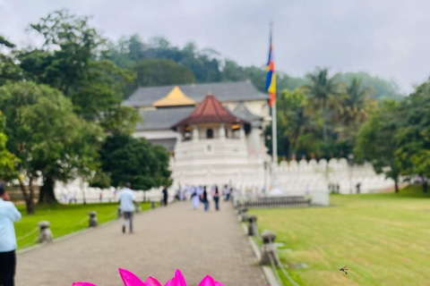 Kandy: Visit to Mountain Temples & Various Attractions Tour Visit to Mountain Temples & Various Attractions Tour by car