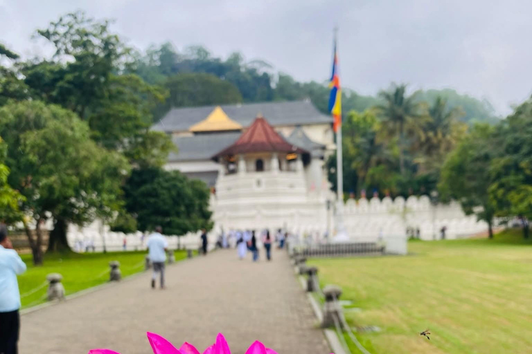 Kandy: Visit to Mountain Temples & Various Attractions Tour Visit to Mountain Temples & Various Attractions Tour by car