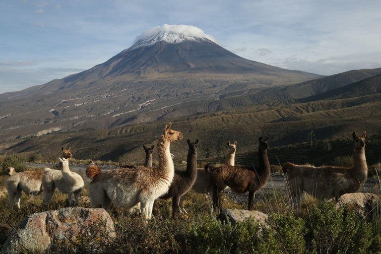 Arequipa: Excursion to Salinas Lagoon || All day ||