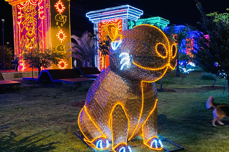 Medellín Te Luces: Visita às luzes de Natal