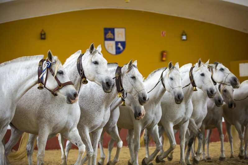 Jerez: tour dei cavalli cartujani alla Yeguada de la Cartuja