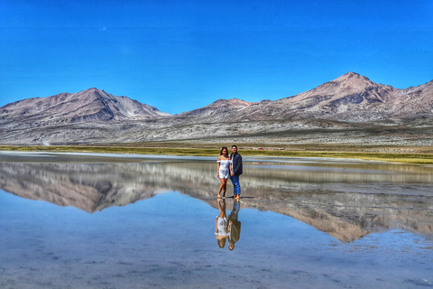 Salinas and Aguada Blanca Nature Reserve From Arequipa: Salinas and Aguada Blanca, Transportation and Lunch Included