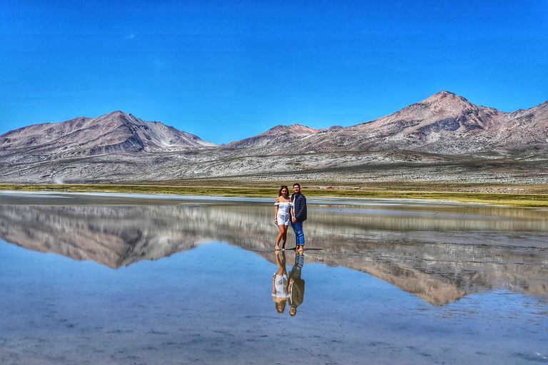 Salinas and Aguada Blanca Nature Reserve From Arequipa: Salinas and Aguada Blanca, Transportation and Lunch Included