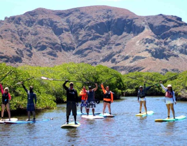 Visit La Paz Stand Up Paddle Boarding Experience in Balandra Bay in La Paz