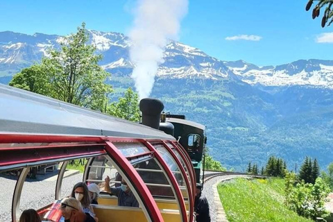 Zurich: Bernese Alps Tour with Lake Cruise & Steam Train Special Offer
