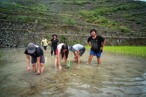 BANAUE:Tarasy ryżowe BATAD z Sagadą 4D3N