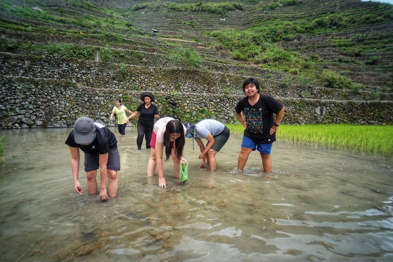 BANAUE : Rizières en terrasses de BATAD et Sagada 4D3N